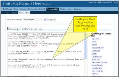meta tags wordpress blog